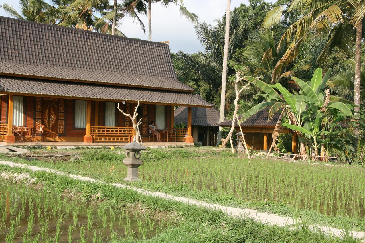 Mesari Hotel Ubud Exterior foto